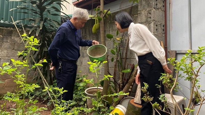 Hà Nội: Số ca mắc sốt xuất huyết tăng