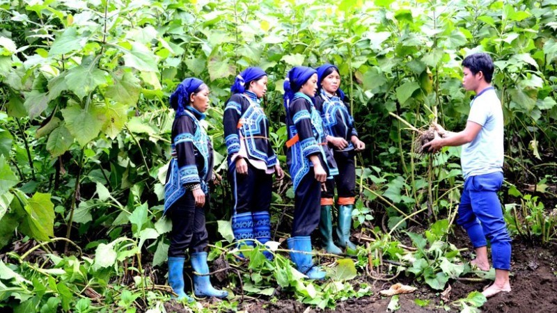 Củng cố hệ thống chính trị vùng đồng bào dân tộc thiểu số