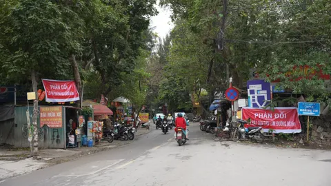 Mở rộng đường Đặng Thai Mai cần điều chỉnh hợp lý