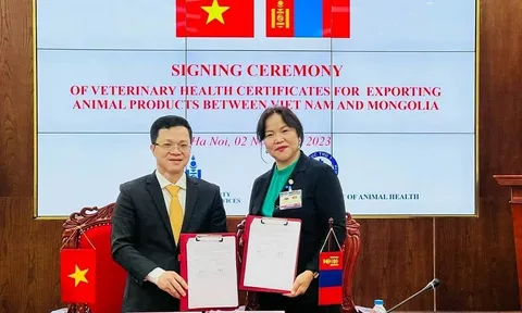 Việt Nam sắp xuất khẩu thịt gia cầm, trứng sang thị trường Mông Cổ