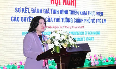 Tổng kết, đánh giá tình hình triển khai thực hiện các Quyết định của Thủ tướng Chính phủ về trẻ em 