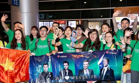 Người hâm mộ chào đón nhóm nhạc Westlife trở lại Việt Nam