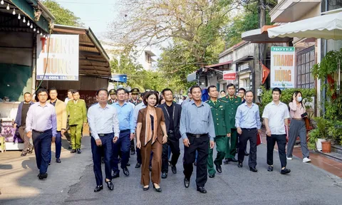 Hải Phòng xử lý dứt điểm hàng loạt vi phạm đất đai, xây dựng ở Đồ Sơn