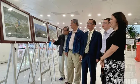 Đà Nẵng khai mạc Triển lãm nghệ thuật “Đà Nẵng 50 năm - Khát vọng vươn mình”