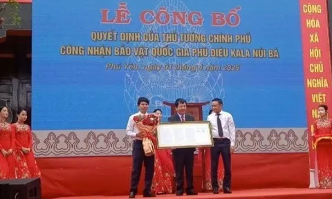 Phù điêu Kala Núi Bà ở Phú Yên là bảo vật quốc gia