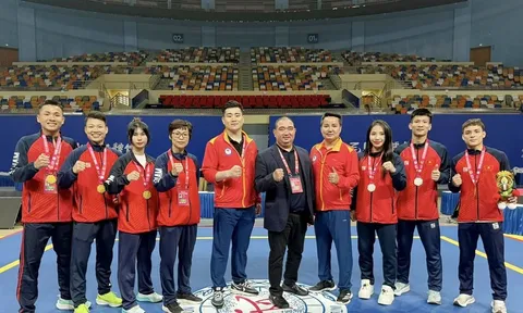 Wushu Việt Nam giành ngôi á quân Cúp tán thủ thế giới