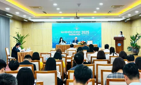 ĐHĐCĐ PSI: Ghi nhận tổng doanh thu năm 2024 đạt 347,3 tỷ, lợi nhuận sau thuế 25,9 tỷ đồng