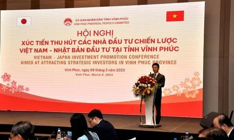Cơ cấu tổ chức Trung tâm nghiên cứu xúc tiến đầu tư và hỗ trợ doanh nghiệp tỉnh Vĩnh Phúc