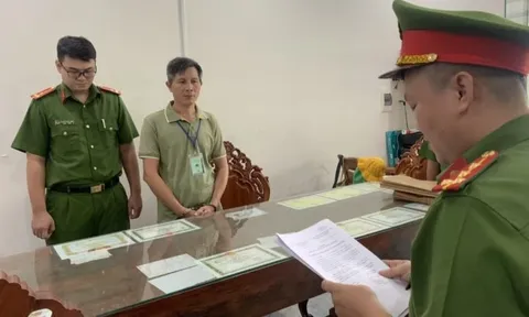 Khởi tố, bắt tạm giam giám đốc một công ty về hành vi buôn lậu