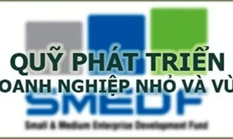 Tạp chí điện tử Việt – Đức Làm việc với Quỹ phát triển doanh nghiệp nhỏ và vừa
